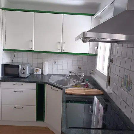 Swiss Alpine View Tatil Evi Interlaken