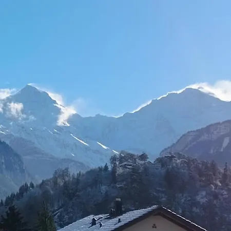 Swiss Alpine View *