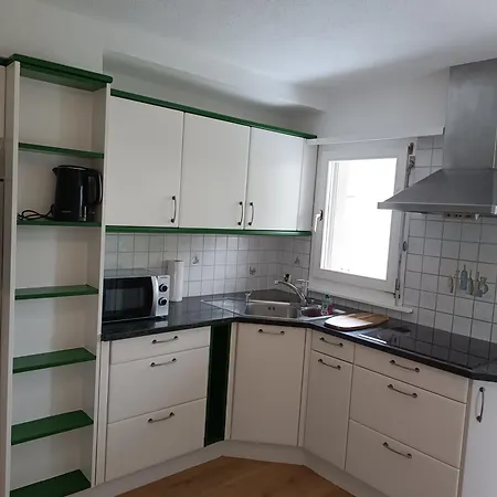 Swiss Alpine View Tatil Evi Interlaken